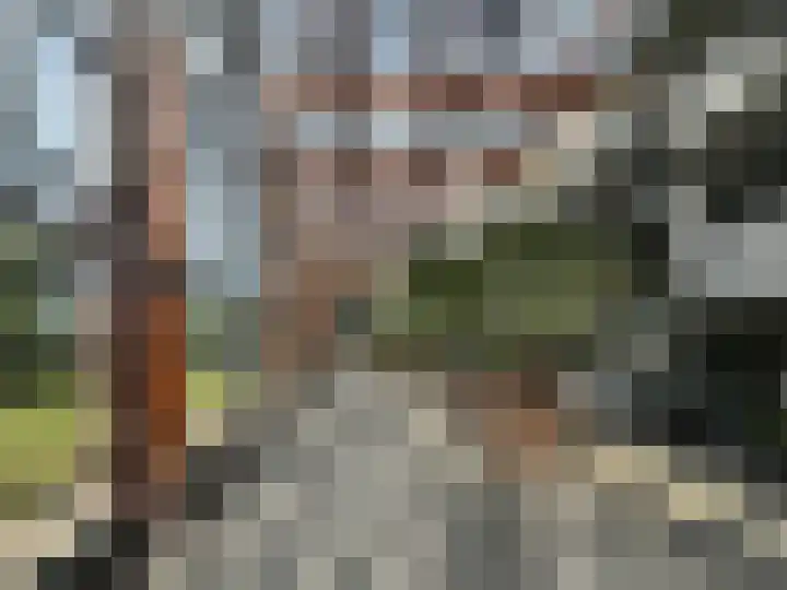 Merlijnstraat 15 Wijchen thumbnail 8