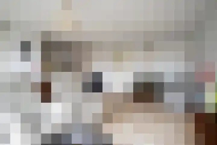 Merlijnstraat 45 Wijchen thumbnail 6