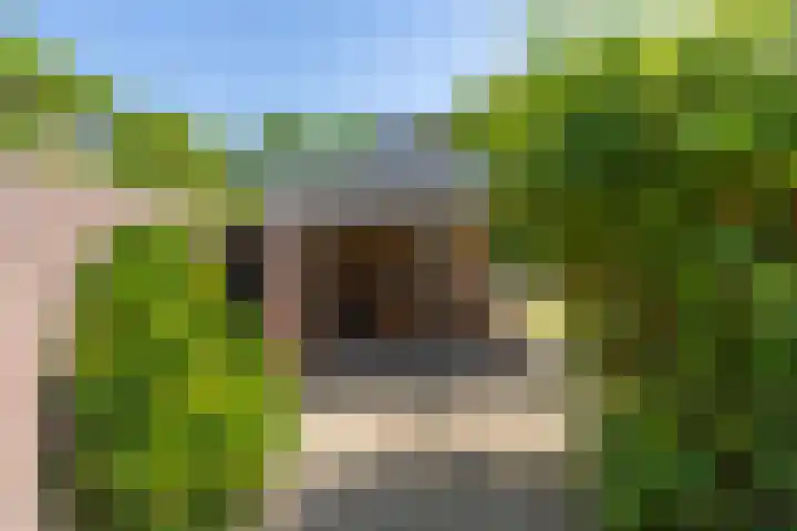 Merseloseweg 4 Overloon thumbnail 22