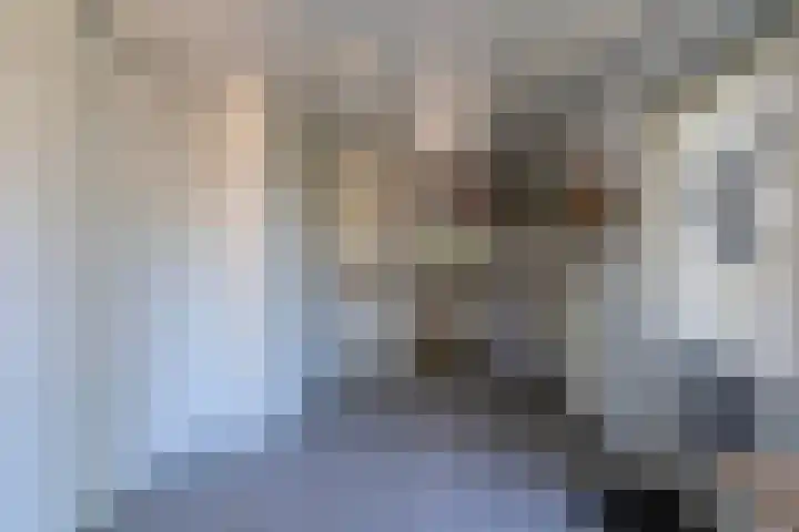 Merseloseweg 4 Overloon thumbnail 30