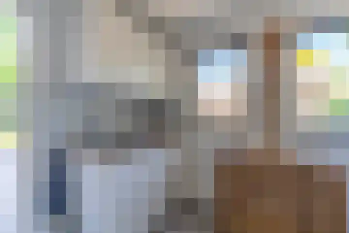 Merseloseweg 4 Overloon thumbnail 32