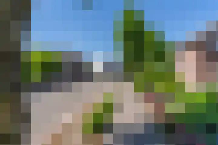 Merseloseweg 4 Overloon thumbnail 5