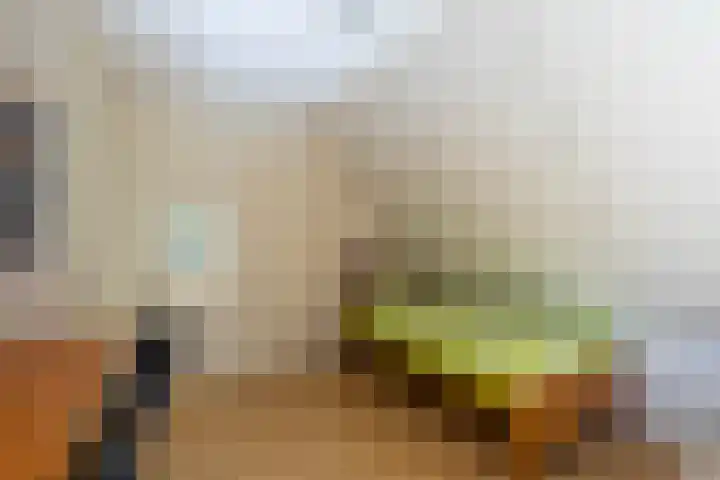 Merseloseweg 4 Overloon thumbnail 64