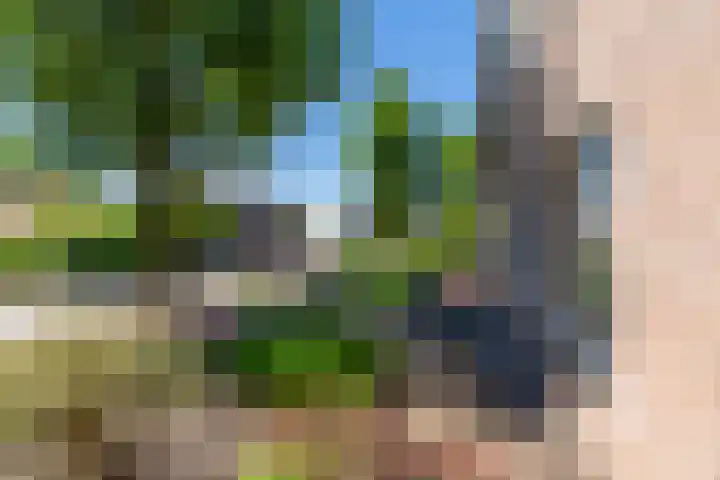 Merseloseweg 4 Overloon thumbnail 7