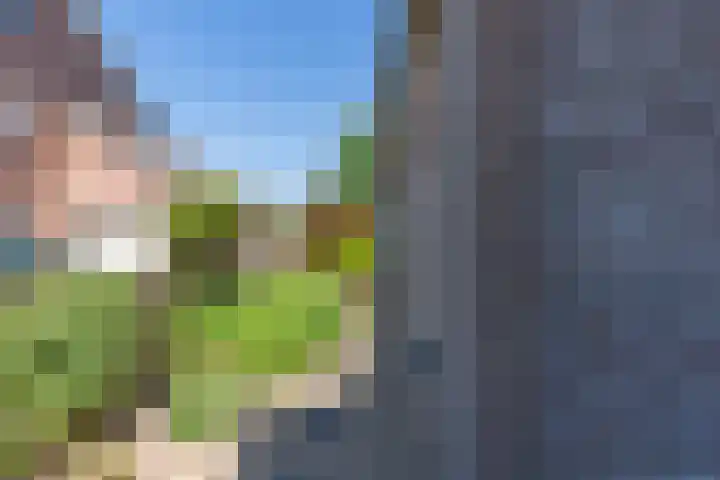 Merseloseweg 4 Overloon thumbnail 8