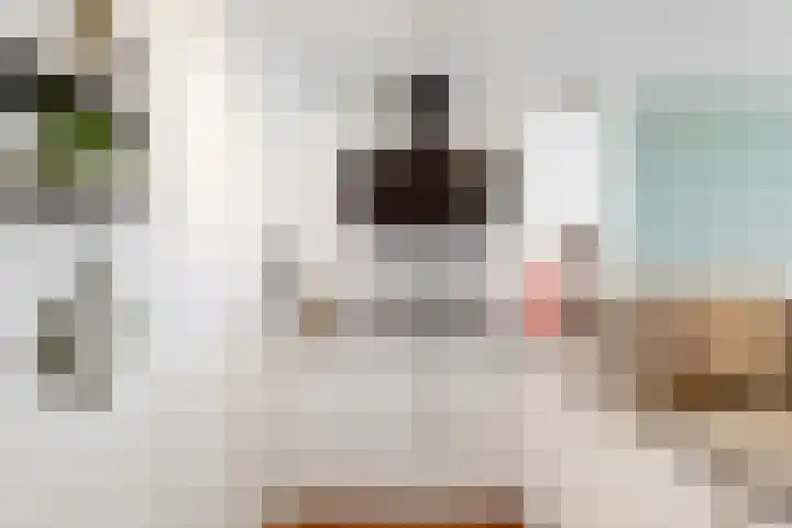 Mesdaglaan 135 Maassluis thumbnail 18