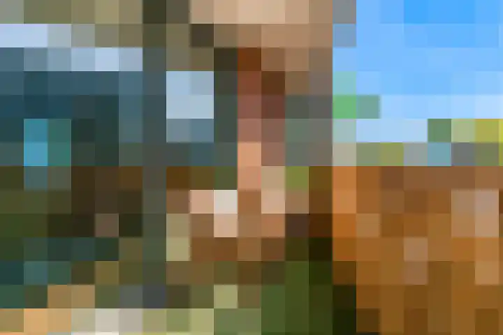 Mesdaglaan 135 Maassluis thumbnail 31