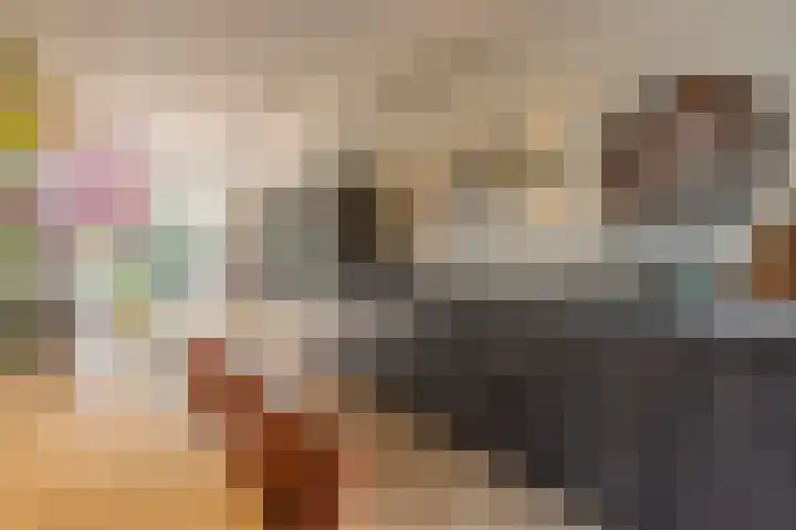 Mesdaglaan 25 Arnhem thumbnail 13