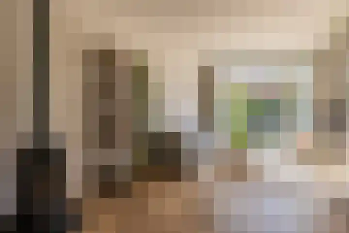 Mesdaglaan 25 Arnhem thumbnail 16