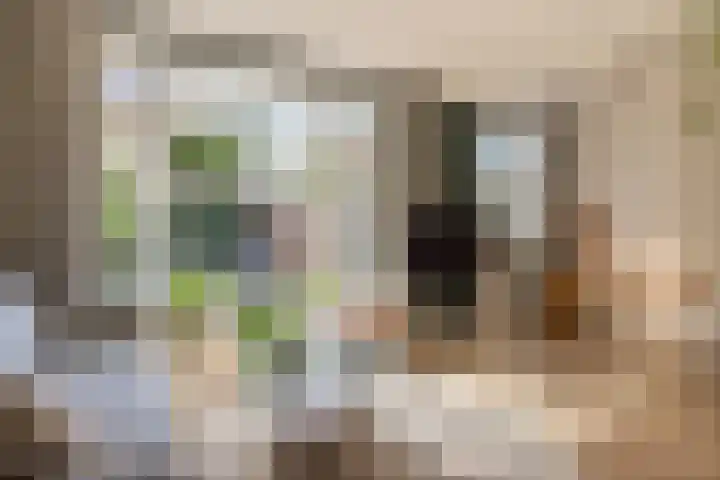 Mesdaglaan 25 Arnhem thumbnail 19