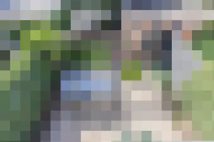 Mesdaglaan 25 Arnhem thumbnail 25