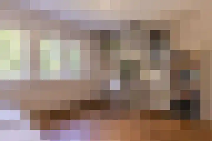 Mesdaglaan 25 Arnhem thumbnail 28