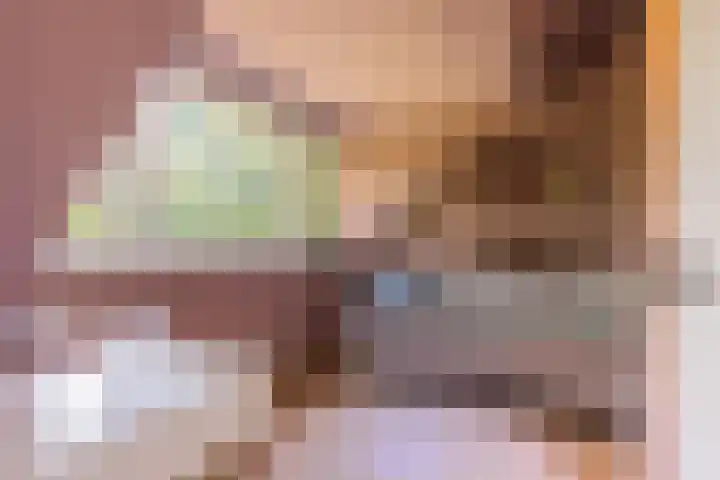 Mesdaglaan 25 Arnhem thumbnail 33