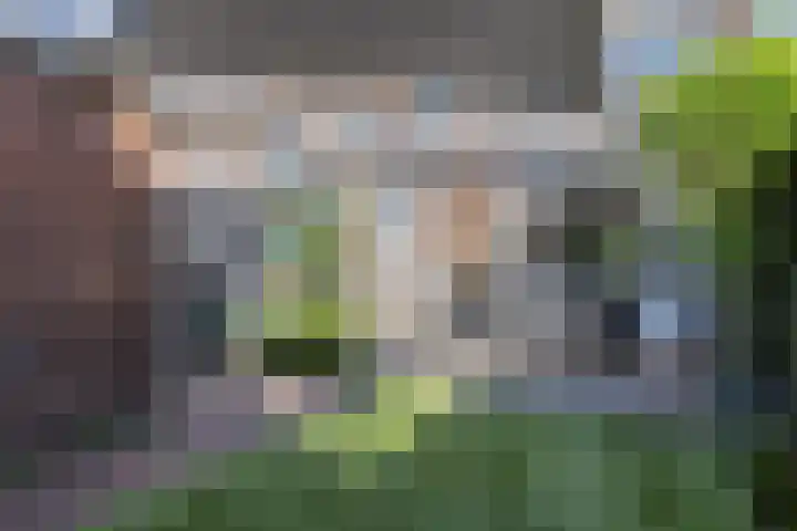 Mesdaglaan 25 Arnhem thumbnail 37