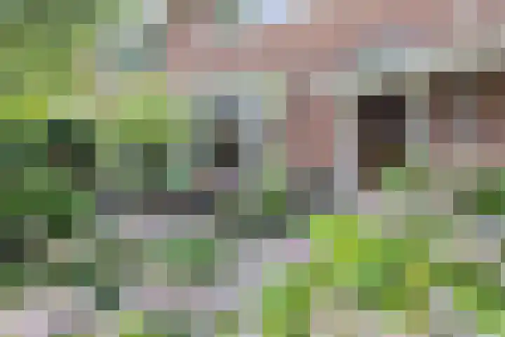 Mesdaglaan 25 Arnhem thumbnail 38