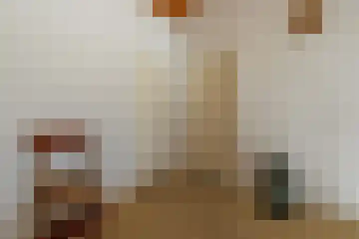 Mesdaglaan 3 Heeze thumbnail 18