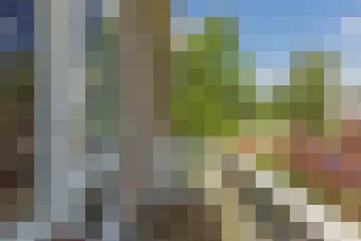 Mesdaglaan 3 Heeze thumbnail 26