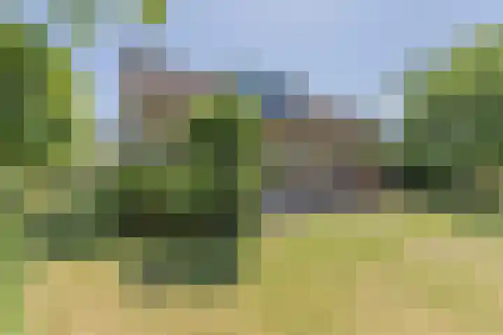 Mesdaglaan 3 Heeze thumbnail 28