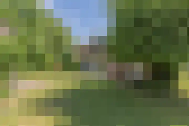 Mesdaglaan 3 Heeze thumbnail 29