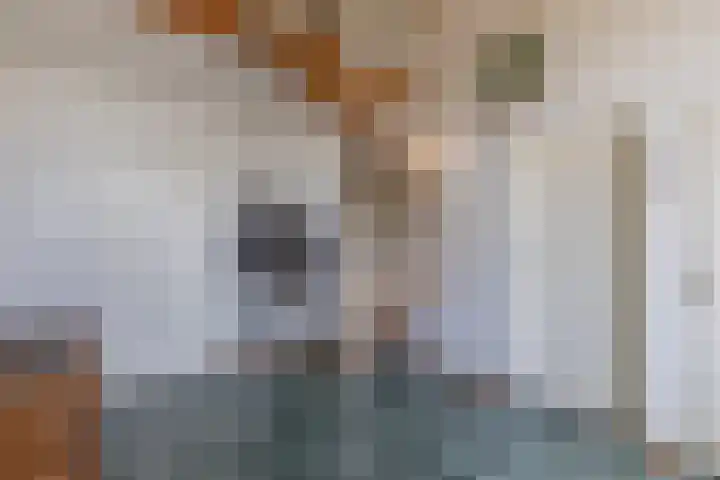 Mesdaglaan 3 Heeze thumbnail 4