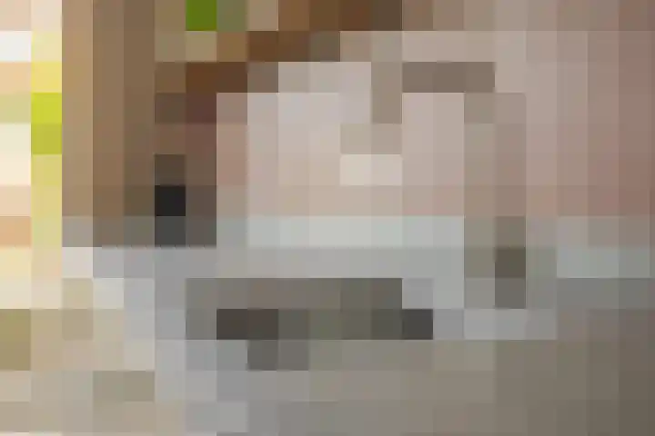 Mesdaglaan 44 Arnhem thumbnail 19