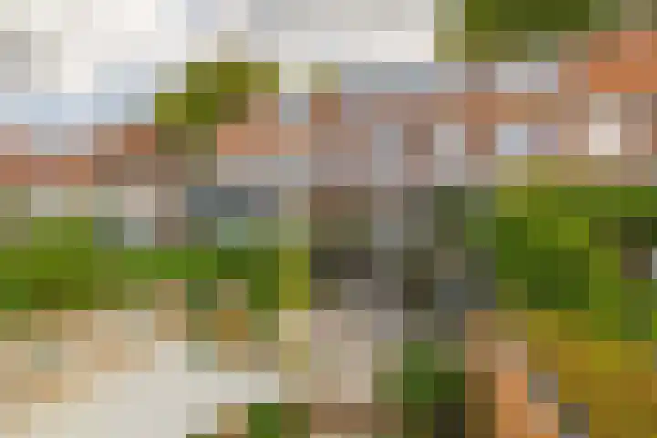 Mesdaglaan 44 Arnhem thumbnail 44