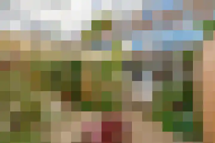 Mesdaglaan 44 Arnhem thumbnail 45