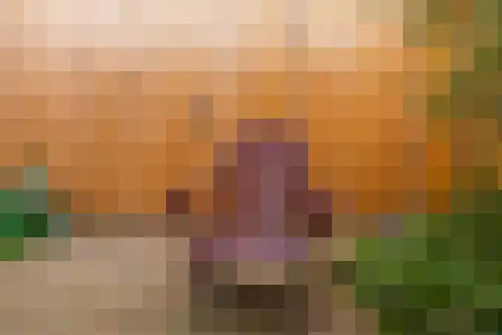 Mesdaglaan 44 Arnhem thumbnail 48