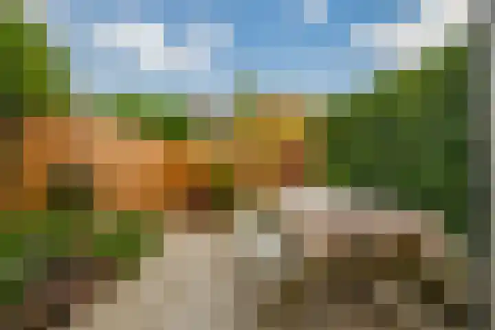 Mesdaglaan 44 Arnhem thumbnail 50