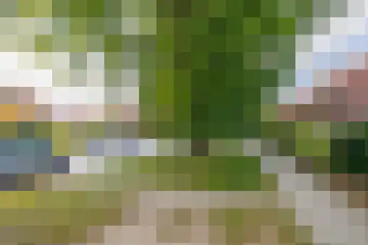 Mesdaglaan 44 Arnhem thumbnail 56