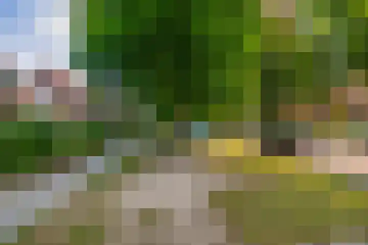 Mesdaglaan 44 Arnhem thumbnail 57
