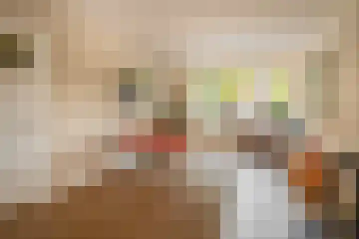 Mesdaglaan 44 Arnhem thumbnail 6