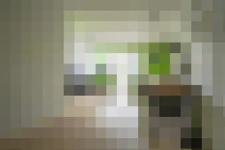 Mesdagstraat 14 Bleiswijk thumbnail 10