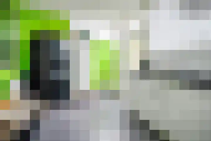 Mesdagstraat 14 Bleiswijk thumbnail 13