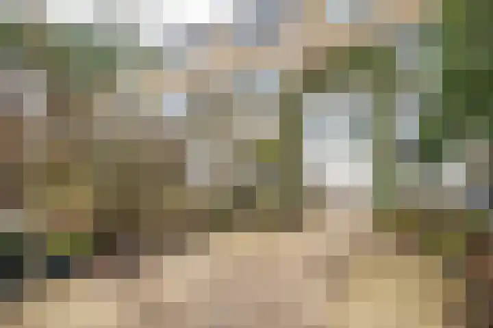 Mesdagstraat 14 Bleiswijk thumbnail 33