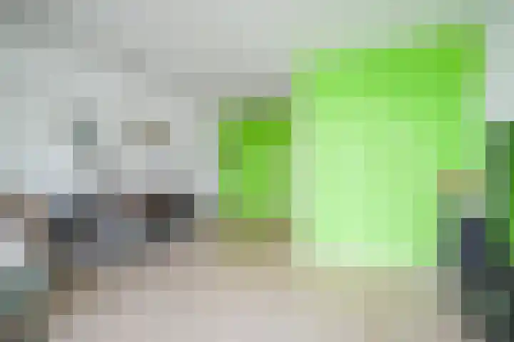 Mesdagstraat 14 Bleiswijk thumbnail 9