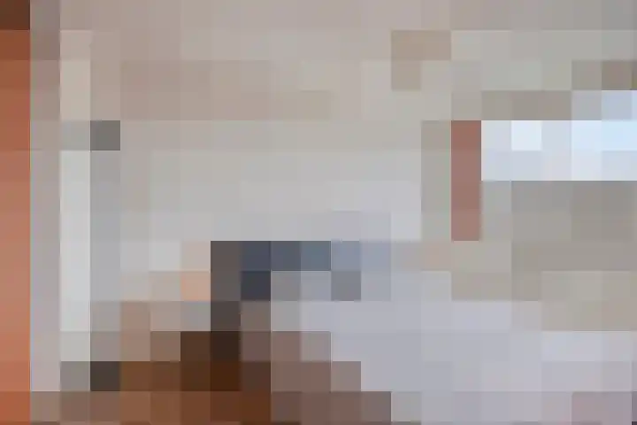 Mesdagstraat 16 Bleiswijk thumbnail 32
