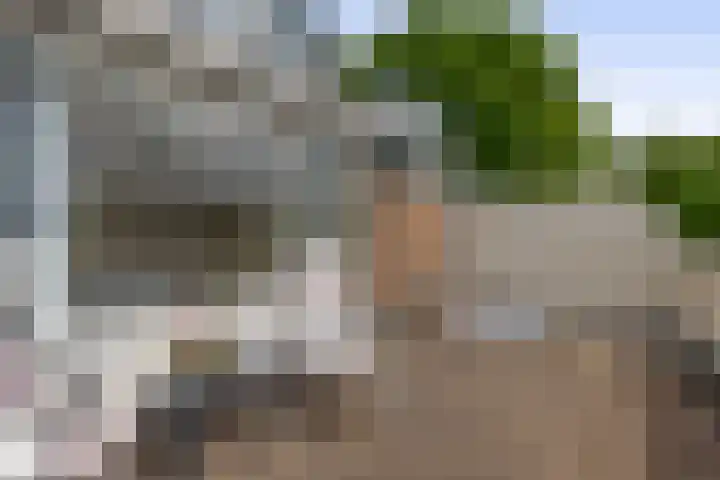Mesdagstraat 22 Lisse thumbnail 18