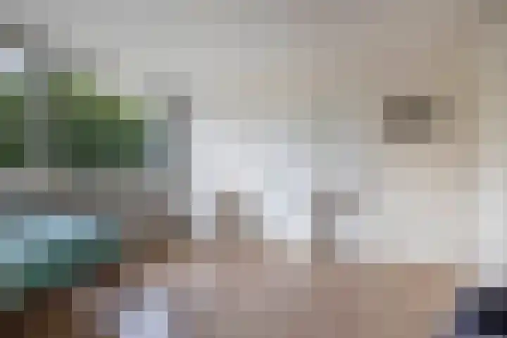 Mesdagstraat 22 Lisse thumbnail 23