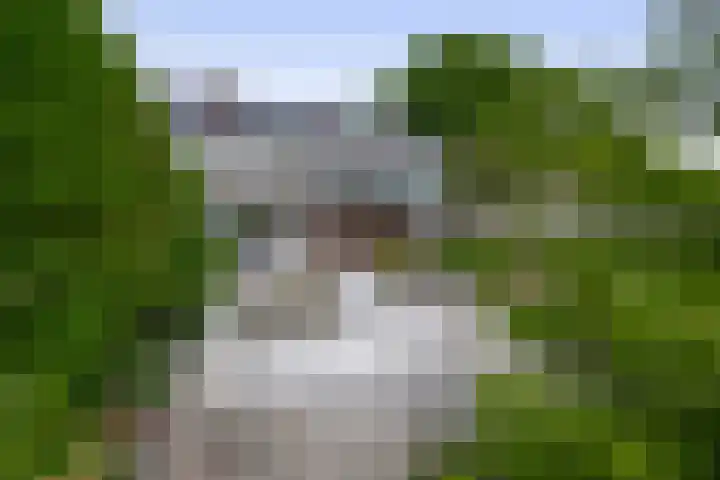 Mesdagstraat 22 Lisse thumbnail 30