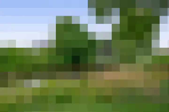 Mesdagstraat 22 Lisse thumbnail 38