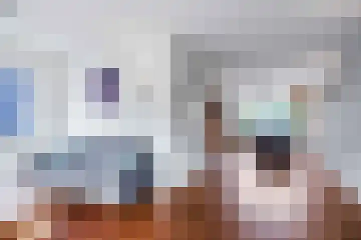 Meseame 8 Berltsum thumbnail 14