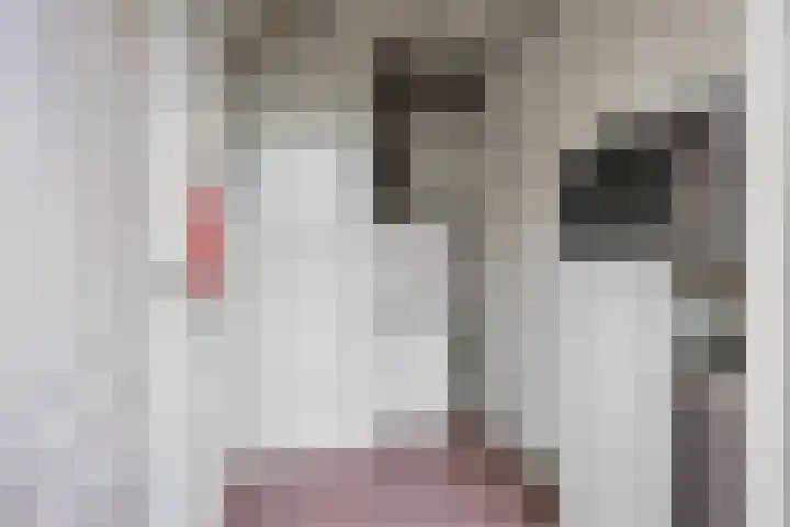 Meseame 8 Berltsum thumbnail 21