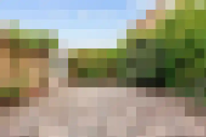Meseame 8 Berltsum thumbnail 39