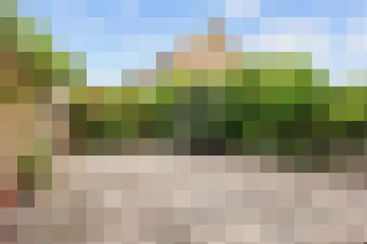Meseame 8 Berltsum thumbnail 40