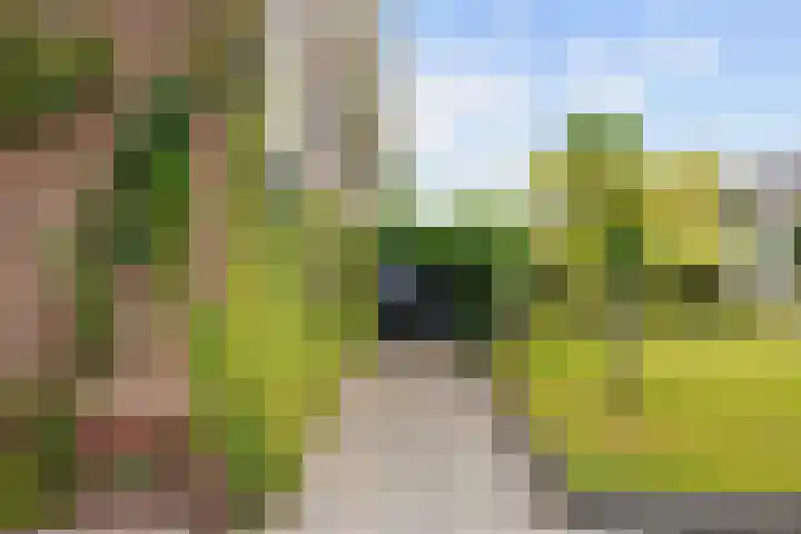 Meseame 8 Berltsum thumbnail 43