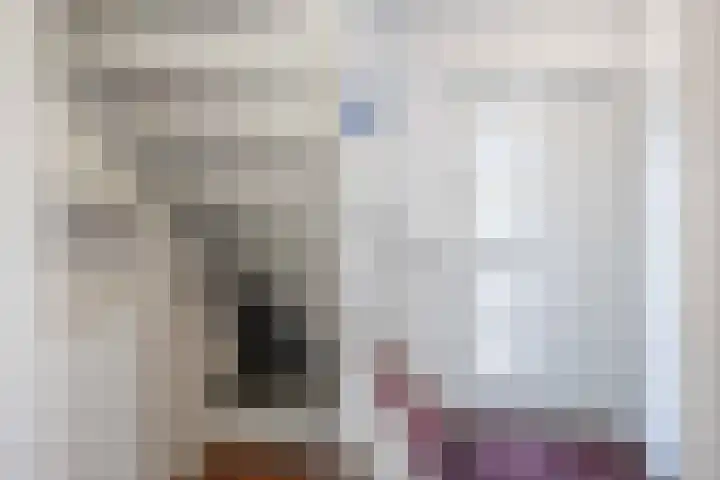 Meseame 8 Berltsum thumbnail 7