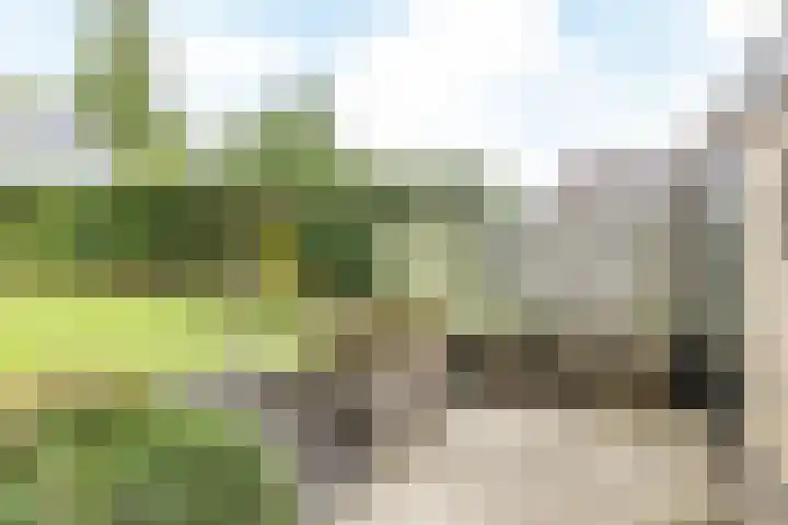 Mesweg 35 Eys thumbnail 16