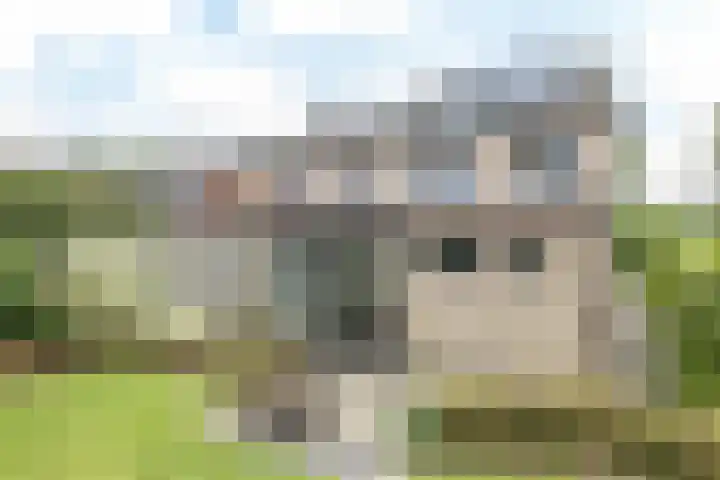 Mesweg 35 Eys thumbnail 17