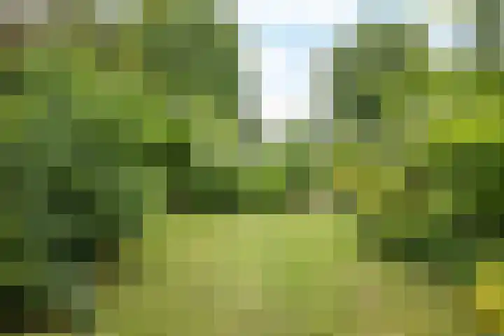 Mesweg 35 Eys thumbnail 19